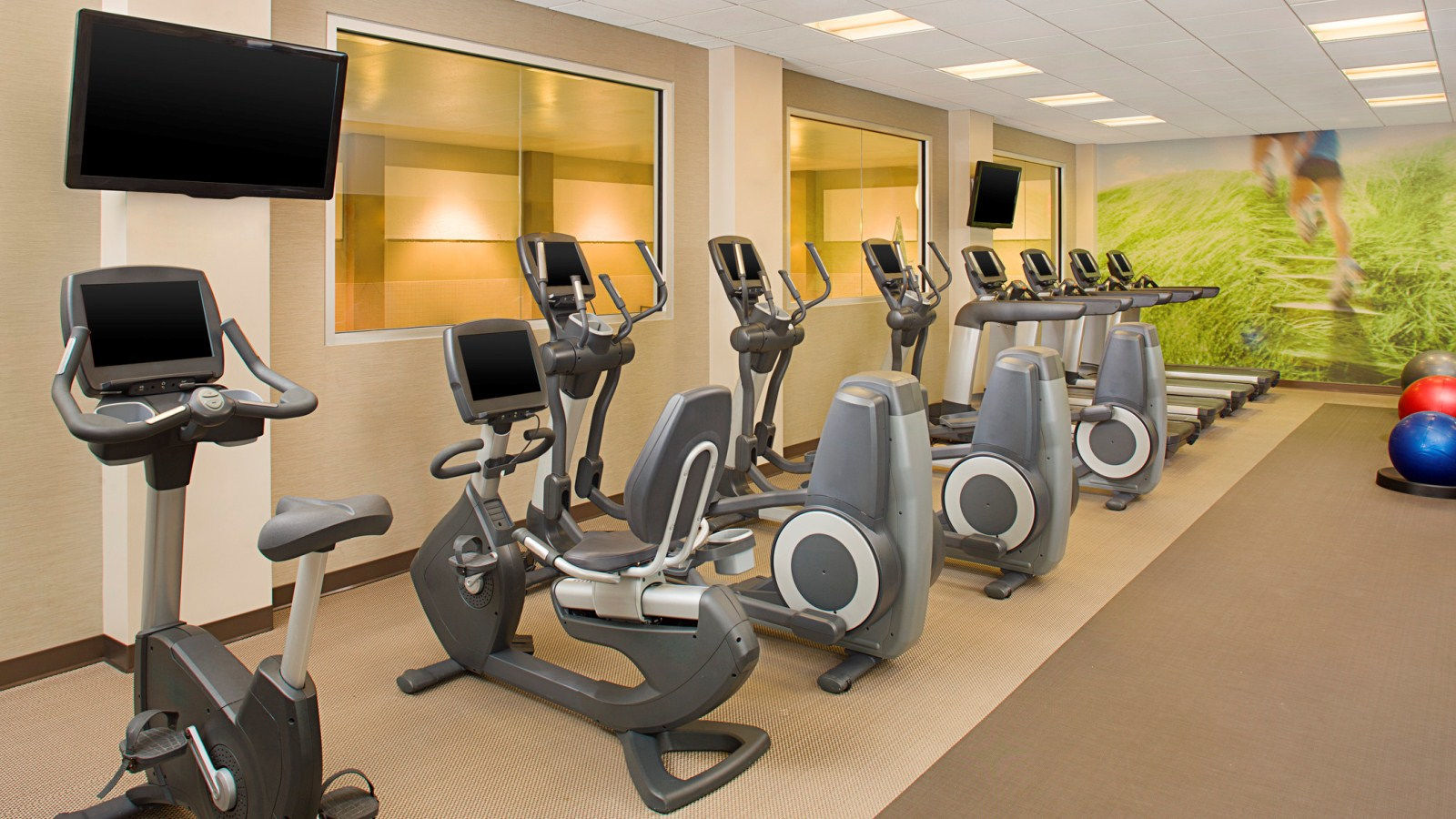The Westin Chicago North Shore Wheeling Съоръжения снимка